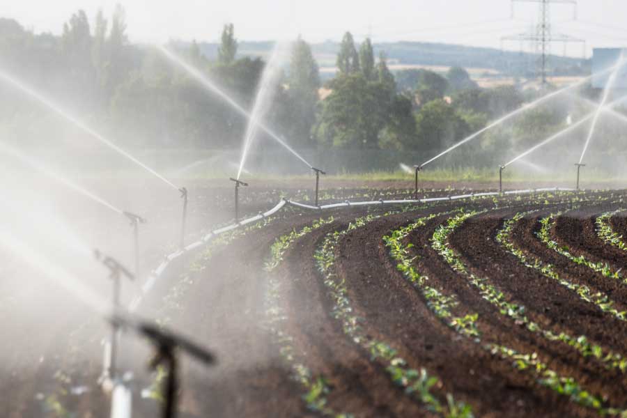 Las Actividades Económicas que Más Consumen Agua a Nivel Mundial