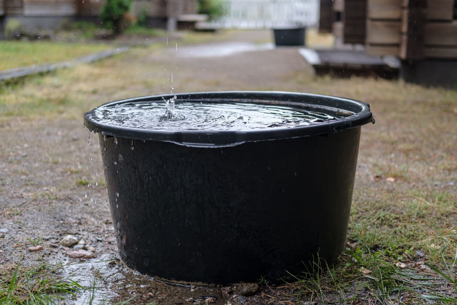 ¿Cómo Recolectar Agua De Lluvia? 4 Formas Caseras