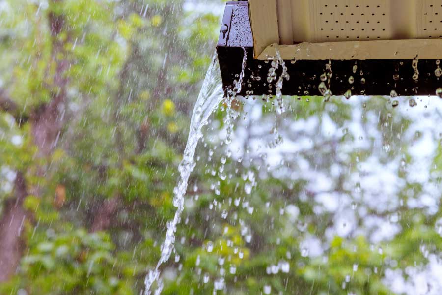 ¿Cómo Recolectar Agua De Lluvia? 4 Formas Caseras